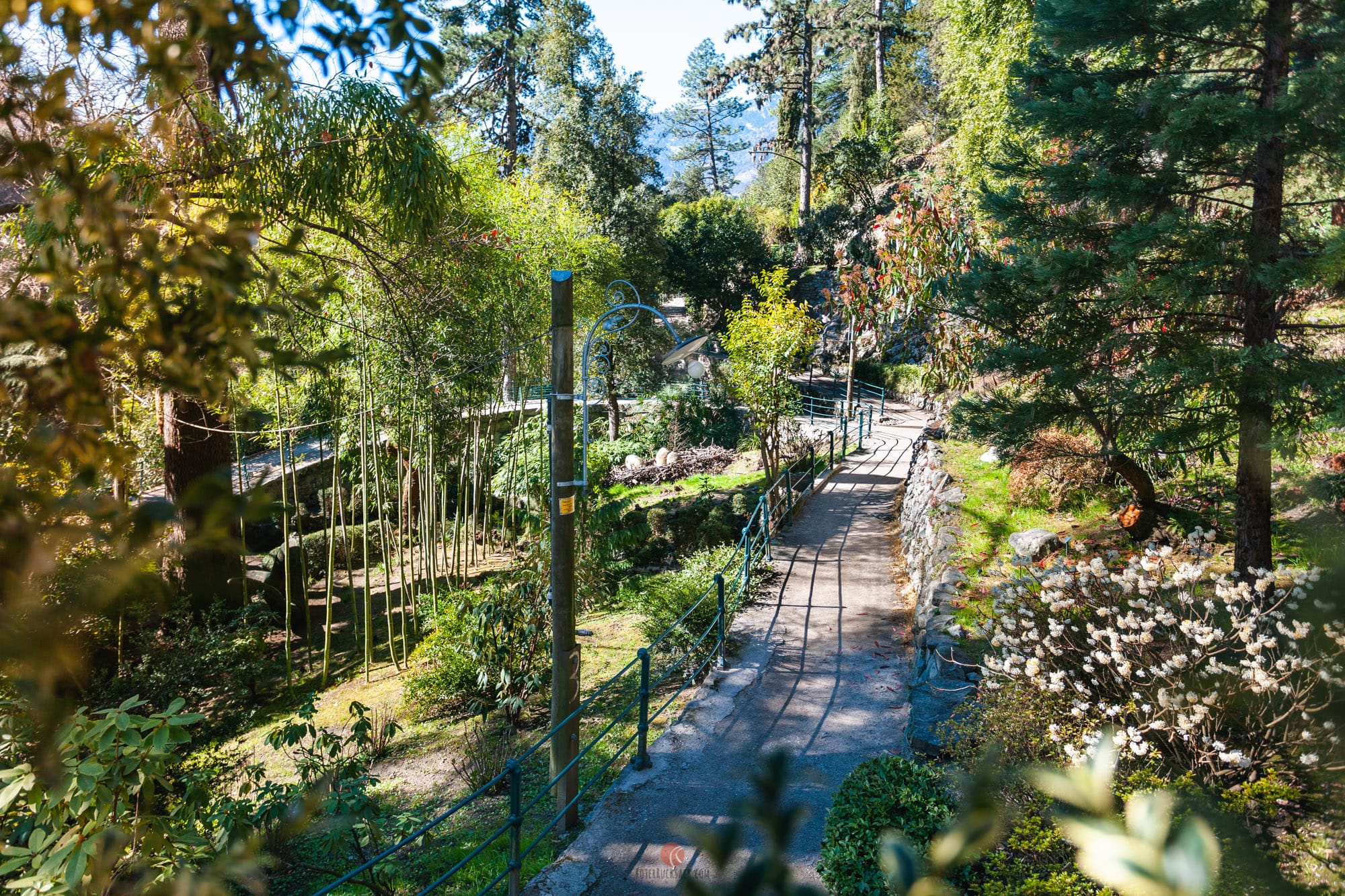 Fruehling Meran Spaziergang Suedtirol 15