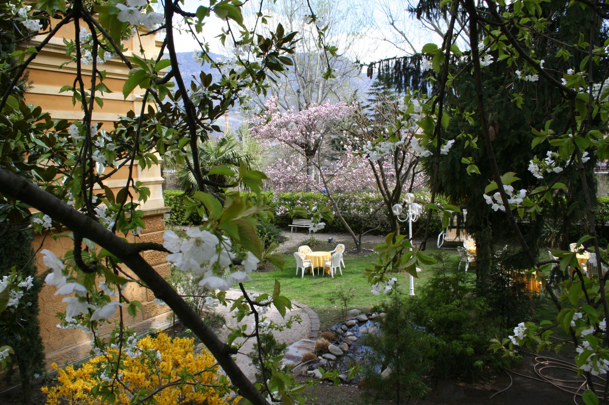 primavera merano innamorati