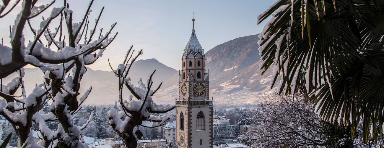 Mohnblütenpracht im Sommer vor der Stadt Meran