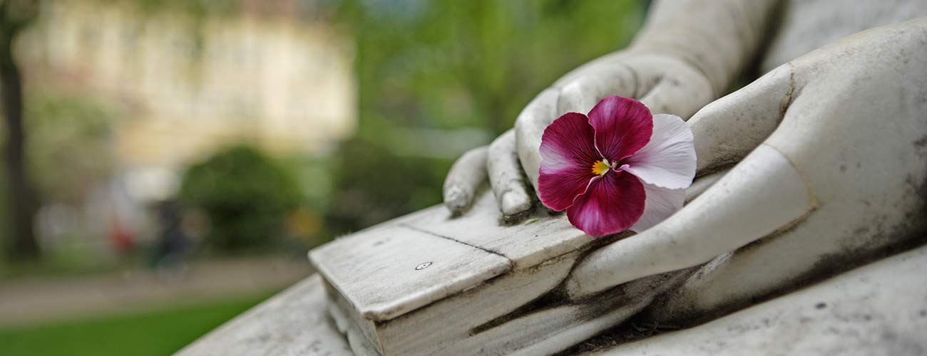 Statua con fiore rosa appoggiato